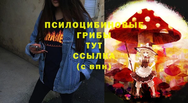 mix Белокуриха
